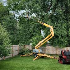 Best Organic Lawn Care Solutions  in Denmark, WI